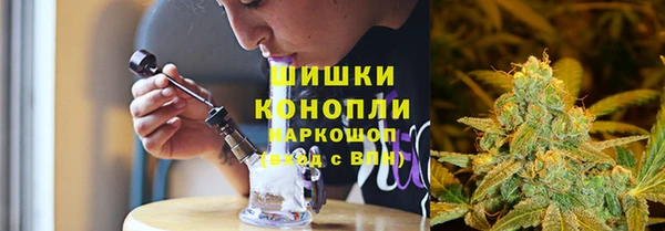 индика Карпинск