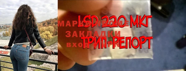 индика Карпинск