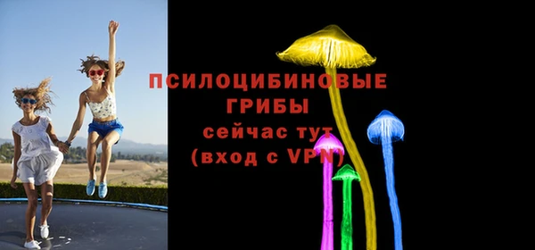 mdpv Карталы