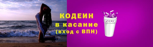 индика Карпинск
