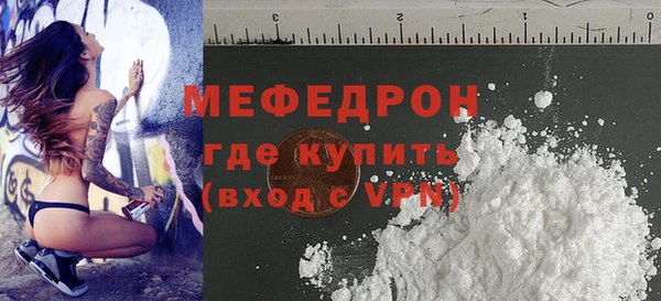 индика Карпинск