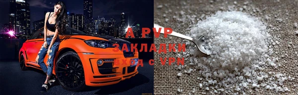 индика Карпинск