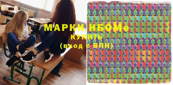 индика Карпинск