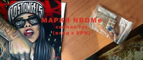 индика Карпинск
