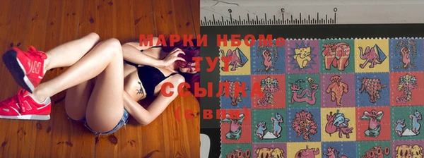 индика Карпинск