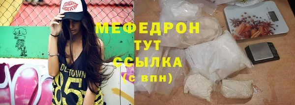 индика Карпинск