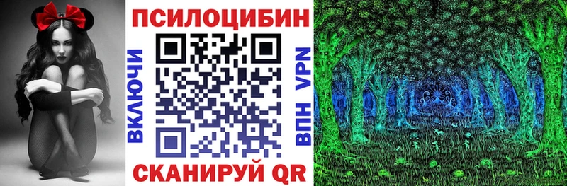 Купить где  Феодосия  Псилоцибиновые грибы Psilocybine cubensis 